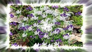 Видеофоны! Видеофон Подснежники 2! Футаж от Киностудии Мудрого Кота Тимофея!