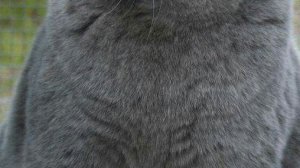 почему я меняю название