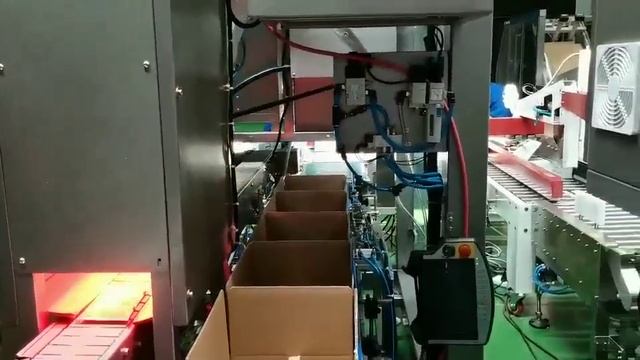 Линия сортировки и упаковки булочки бриошь и хот-догов-62 кп - carton1