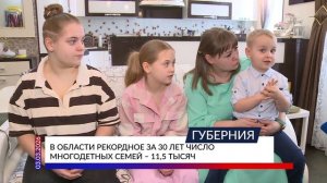 В области рекордное за 30 лет число многодетных семей – 11,5 тысяч