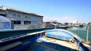 Жизнь на воде.