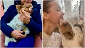 Собака БОИТСЯ стрижки: а после такое счастье! 😂 Милка до и после