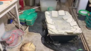 Владимир Колокольцев заявил о задержании участников преступного сообщества наркопроизводителей