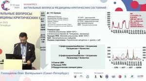 Рациональная антибактериальная терапия в ОРИТ Голощапов О.В. 2025
