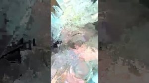 Мне нечего делать.