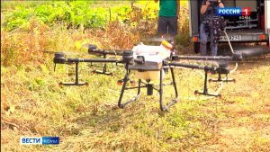 Участник СВО предложил уничтожать борщевик с помощью агродронов