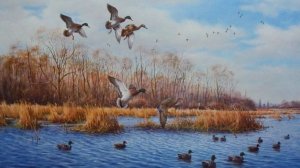 BULT:Hunting simulator-и снова весна и снова утки