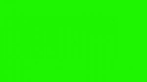 чёрно-зелёное стробоизлучение с периодом 200мс