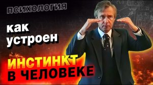 Что инстинкт заставляет делать человека