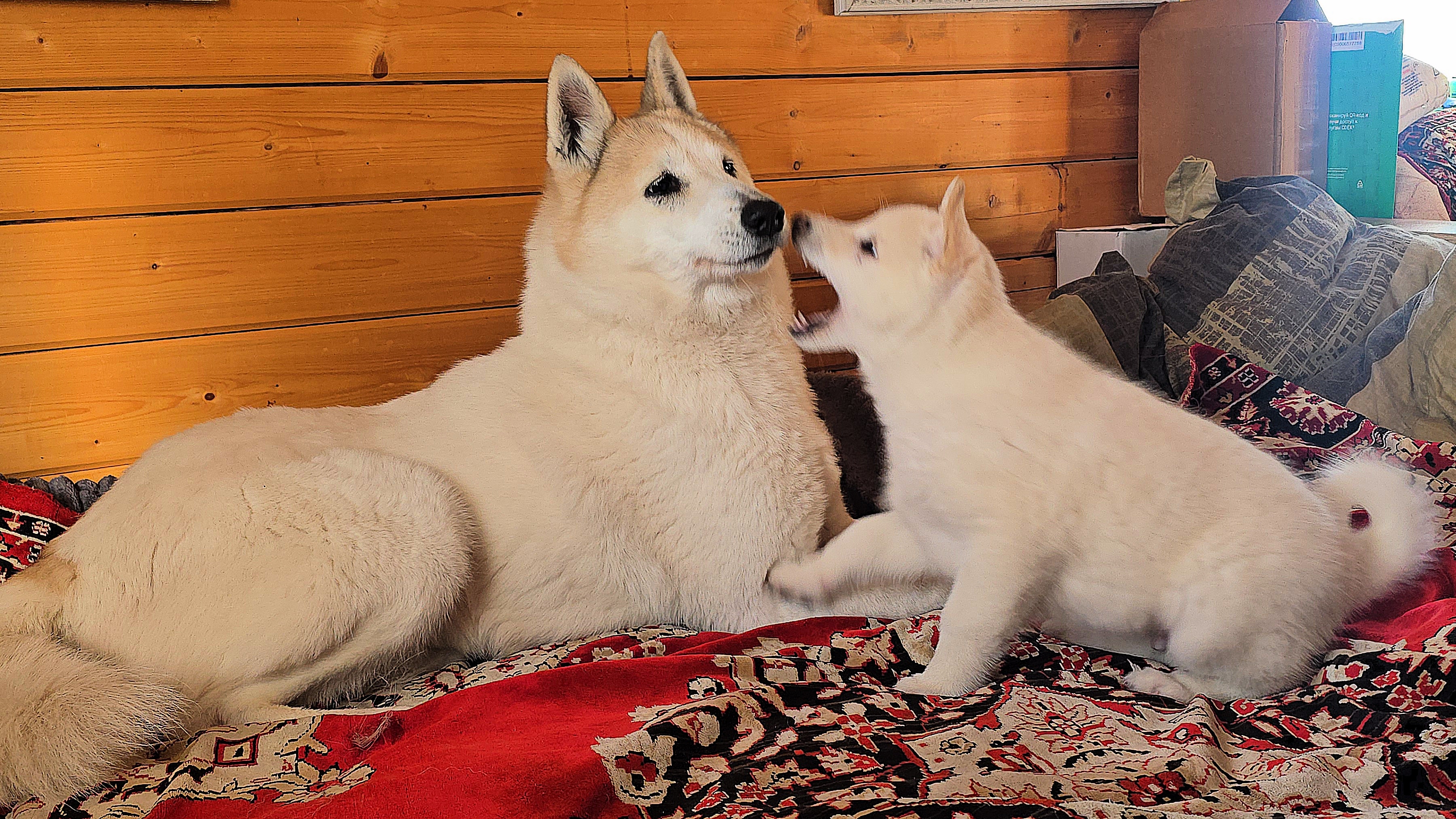 Всё меняется