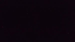 Выступление сотрудников административно-хозяйственной части ЧГУ