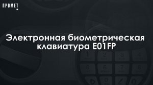 Электронная биометрическая клавиатура E01FP