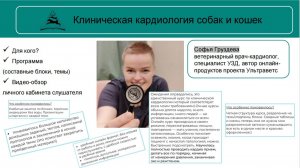 Кардиология собак и кошек | Обзор личного кабинета слушателя курса