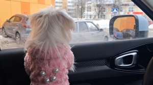 Улетаем в тёплые края!!!