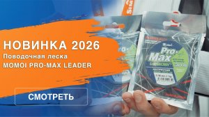Поводочная леска Momoi Pro-Max Leader