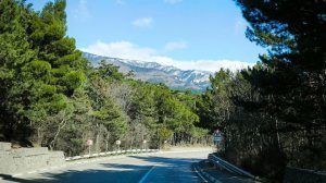 Песенная Медитация 04.03.2026