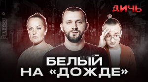 БЕЛЫЙ*: Сабуров, «Дождь»**, Познер | ДИЧЬ