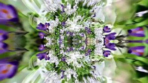 Видеофоны! Видеофон Подснежники 4! Футаж от Киностудии Мудрого Кота Тимофея!