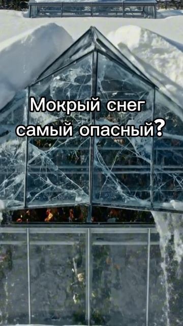 Мокрый снег — самый опасный. Что он ломает в первую очередь ❄️⚠️