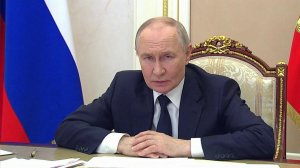 Президент поручил ведомствам организовать вывозные рейсы для российских туристов