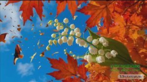 МОЛОДОСТЬ И СТАРОСТЬ.ВСТРЕЧА НА СКАМЕЙКЕ