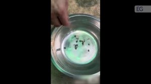 Дестонер для кофе 60