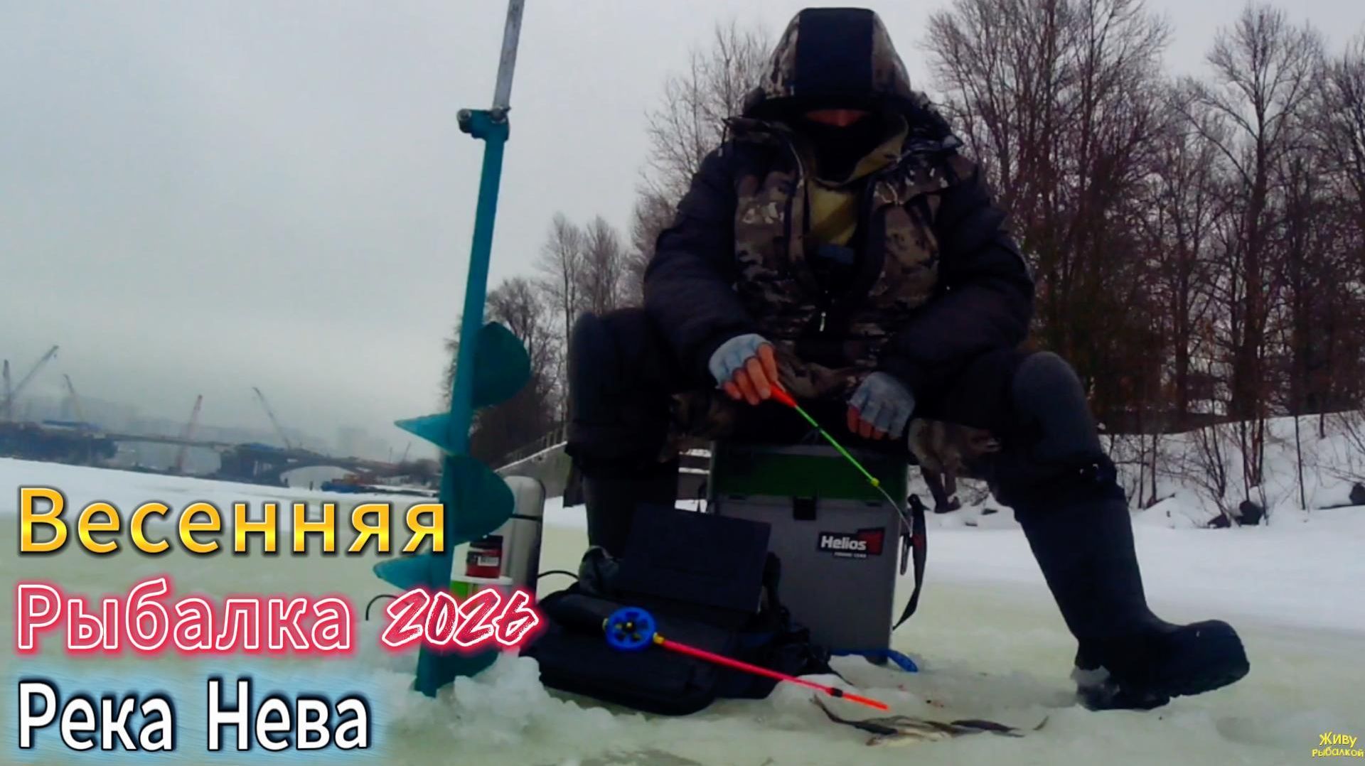 ВЕСНА ИЩУ РЫБУ ХИЩНУЮ МИРНУЮ РЕКА НЕВА ГОРОД СПБ