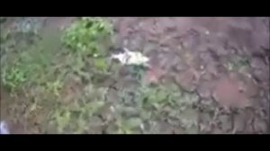 ✔🎣Подлещик🐟✔