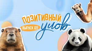 Верблюжий конкурс красоты и домики из джинсов. "Позитивный улов"