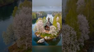 Ченнелинг Вриллон. Галактический совет Плеяд.