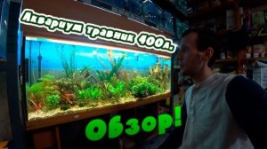 Аквариум ТРАВНИК 400 литров ОБЗОР