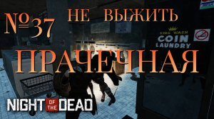НЕ ВЫЖИТЬ/ЧАСТЬ №37/ПРАЧЕЧНАЯ/Night of the Dead