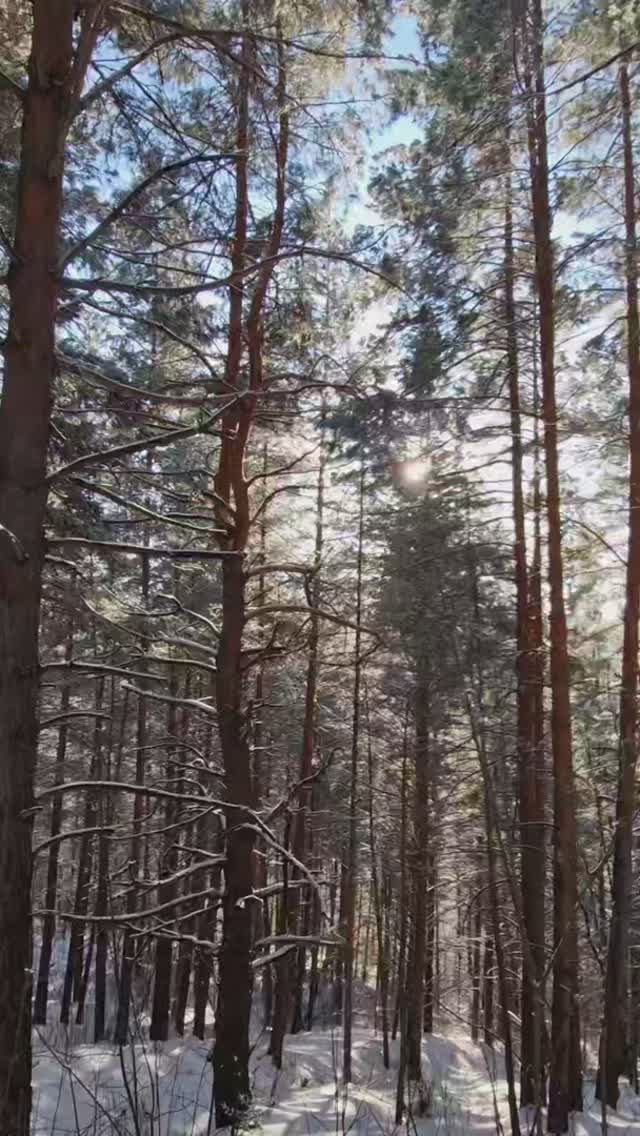 На солнечном терренкуре в Белокурихе
