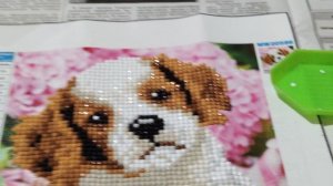 Алмазная мозайка