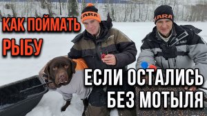 Как поймать рыбу, если остались без мотыля.