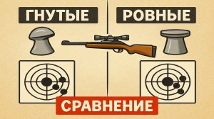 Сравнение точности стрельбы из МР 512 гнутыми пульками и ровными