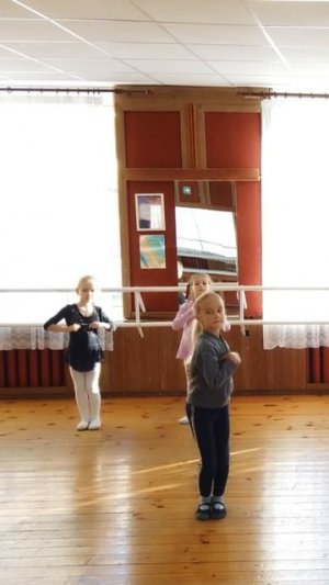 Жили у бабуси два весёлых гуся.