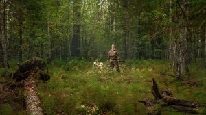 Тайга  Охотничьи истории_ звери, люди и суровые испытания. Таёжные истории