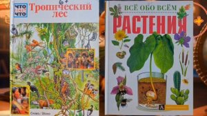 Веселые ответы и добрые советы от лисички Буковки_3