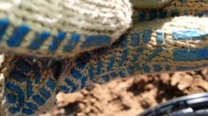 коп монет на поле.