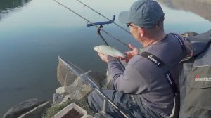 Nije skobalj nego plotica EP227_06022024