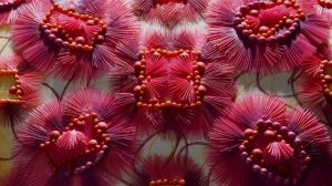 grok-video-4881e9df-e84a-4b5b-bb1c-ac9d2db3474f (12)