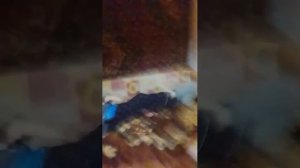 хз что писать