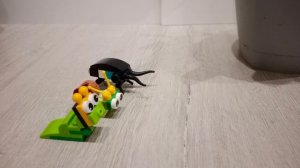 САНЯ и #зверятыши