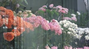 КРАСНОЯРСК ЗАНЯЛ 9 МЕСТО ПО СТОИМОСТИ БУКЕТА