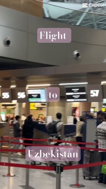 flight to Uzbekistan. autumn #uzbekistan #travel