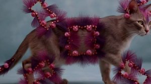 grok-video-a2c33022-3ba5-4cc1-a3d9-e1a419e2577b (8)