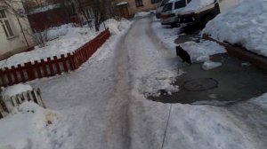 Слайд шоу. Мишка на прогулке.