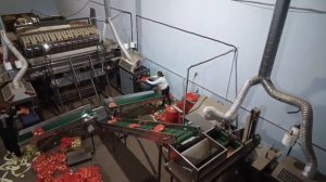 Работа группового упаковщика (упаковщик упаковок)