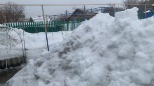 Хожу на огороде и на улице. Думаю к кому его продать.